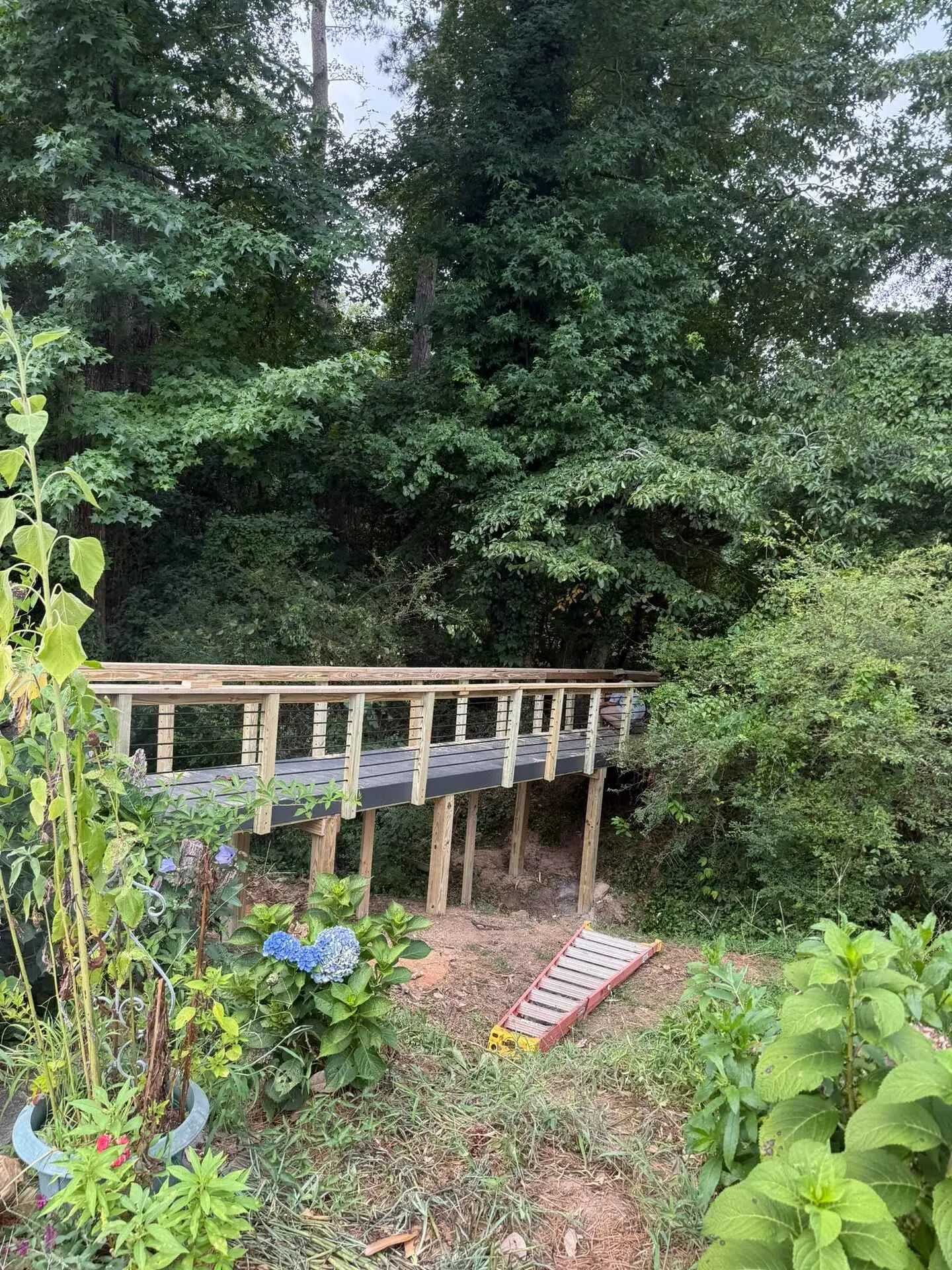 Elevated cable-rail walkway bridge spanning a wooded gully